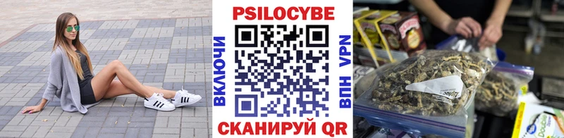 KRAKEN рабочий сайт  Заозёрск  Псилоцибиновые грибы мухоморы  где купить наркоту 